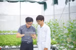 Chuyển đổi số - điều kiện sống còn để doanh nghiệp bứt phá
