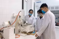 Thu hút chuyên gia quốc tế có tạo ra áp lực cạnh tranh đối với đội ngũ giảng viên hiện hữu?