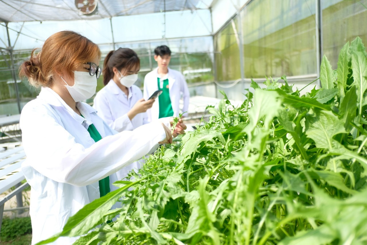Nguồn ảnh minh họa: Trường Đại học Đông Á