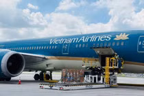 Vietnam Airlines vận chuyển sếu đầu đỏ từ Thái Lan về Việt Nam, góp phần bảo tồn đa dạng sinh học
