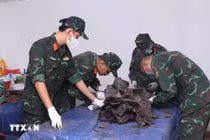 Đã quy tập được 100 hài cốt liệt sỹ tại Công viên Lê Thị Riêng