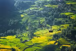 Fansipan - Từ điểm trekking của “phượt thủ” đến ngôi vị dẫn đầu lượng đặt chỗ tại Việt Nam
