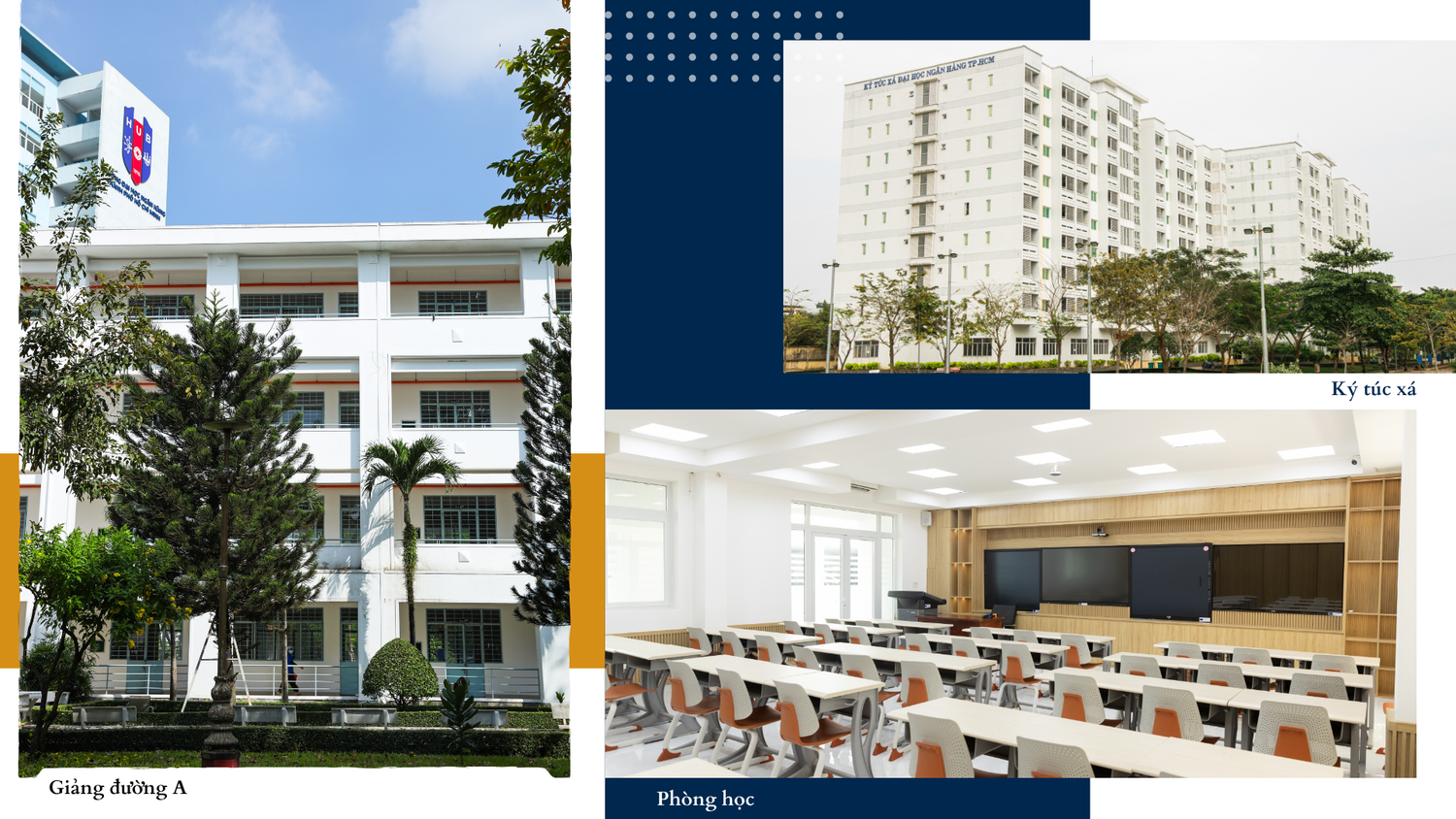 blue-and-yellow-modern-minimalist-university-education-presentation-1.png