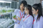 Theo học Công nghệ sinh học tại HPU2, sinh viên được lựa chọn 4 hướng ứng dụng chuyên sâu