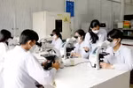 Cần có chuẩn chương trình đào tạo nghiên cứu sinh xuất sắc trước khi hỗ trợ 1 tỷ đồng/người/năm
