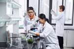 Sinh viên Đại học Phenikaa thực hành tại phòng thí nghiệm. Ảnh: website nhà trường