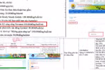 Trường phê duyệt cho Công ty Novastars trúng thầu chương trình kỹ năng sống công khai ra sao?
