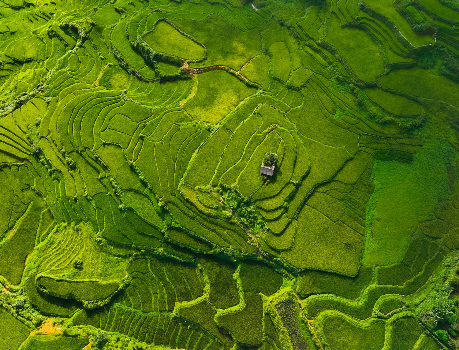 ban-sao-cua-ban-sao-cua-3-dji-0633-1.jpg
