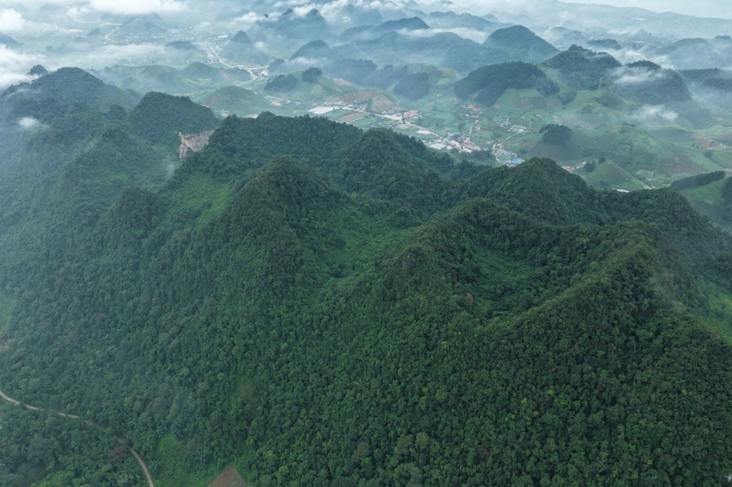 Sau hai năm triển khai từ 2024, chương trình “Góp Lá Vá Rừng” đã phục hồi 150 ha rừng tự nhiên, gieo trồng hơn 95.000 cây bản địa tại Hòa Bình và Sơn La với tỷ lệ cây sống đạt 70 - 86%.