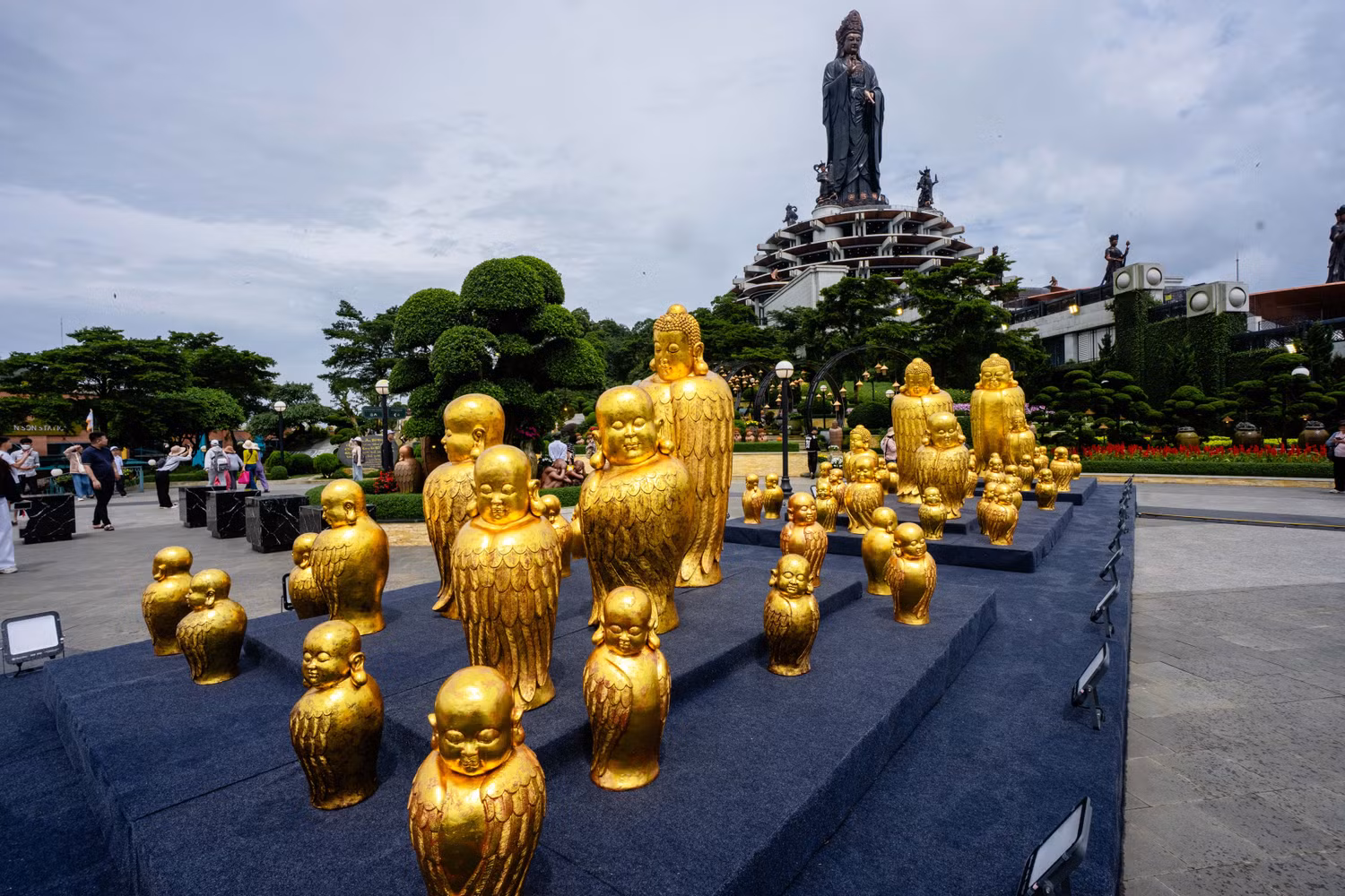 bo-suu-tap-phat-minh-chim-2.jpg