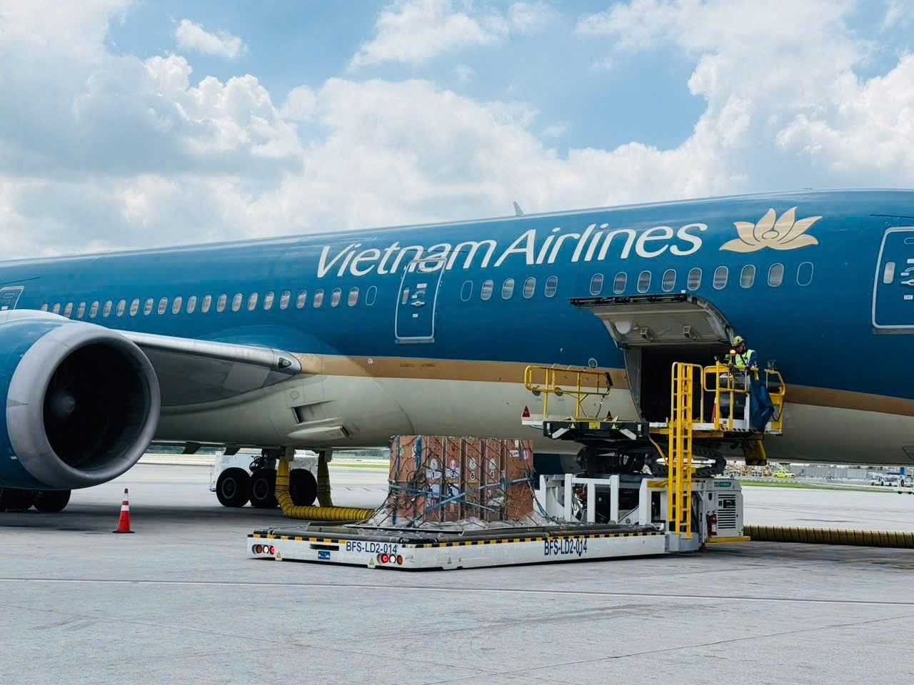 2-vietnam-airlines-da-bo-tri-tau-bay-than-rong-boeing-787-tao-dieu-kien-thuan-loi-nhat-cho-viec-van-chuyen-cac-ca-the-seu-trong-suot-hanh-trinh.jpg