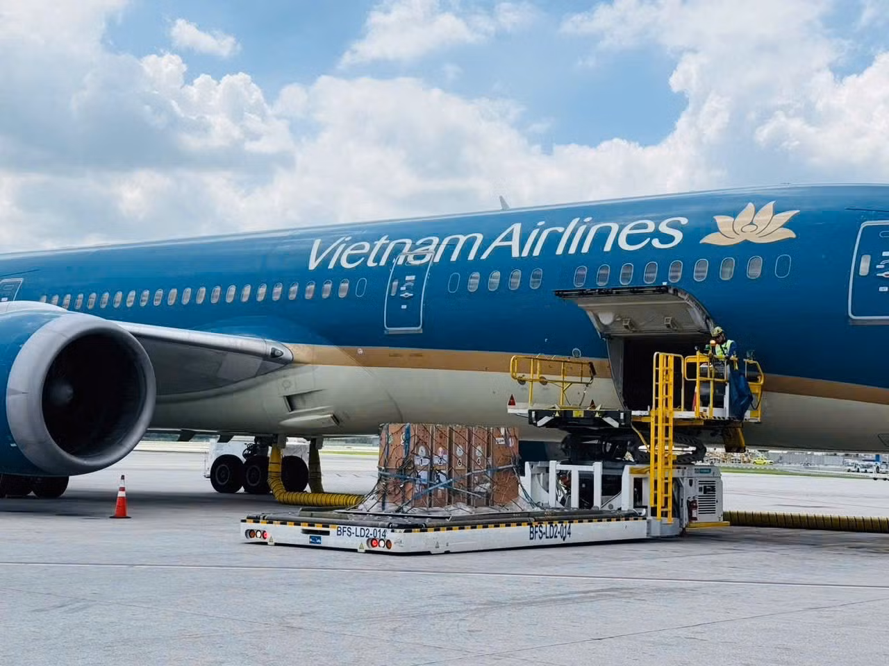 2-vietnam-airlines-da-bo-tri-tau-bay-than-rong-boeing-787-tao-dieu-kien-thuan-loi-nhat-cho-viec-van-chuyen-cac-ca-the-seu-trong-suot-hanh-trinh.jpg