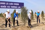 Lãnh đạo Nhà máy Nhiệt điện Vĩnh Tân 4 cho biết, đến nay Nhà máy đã trồng hơn 25.000 cây xanh, hoa và 950m2 cỏ cảnh.