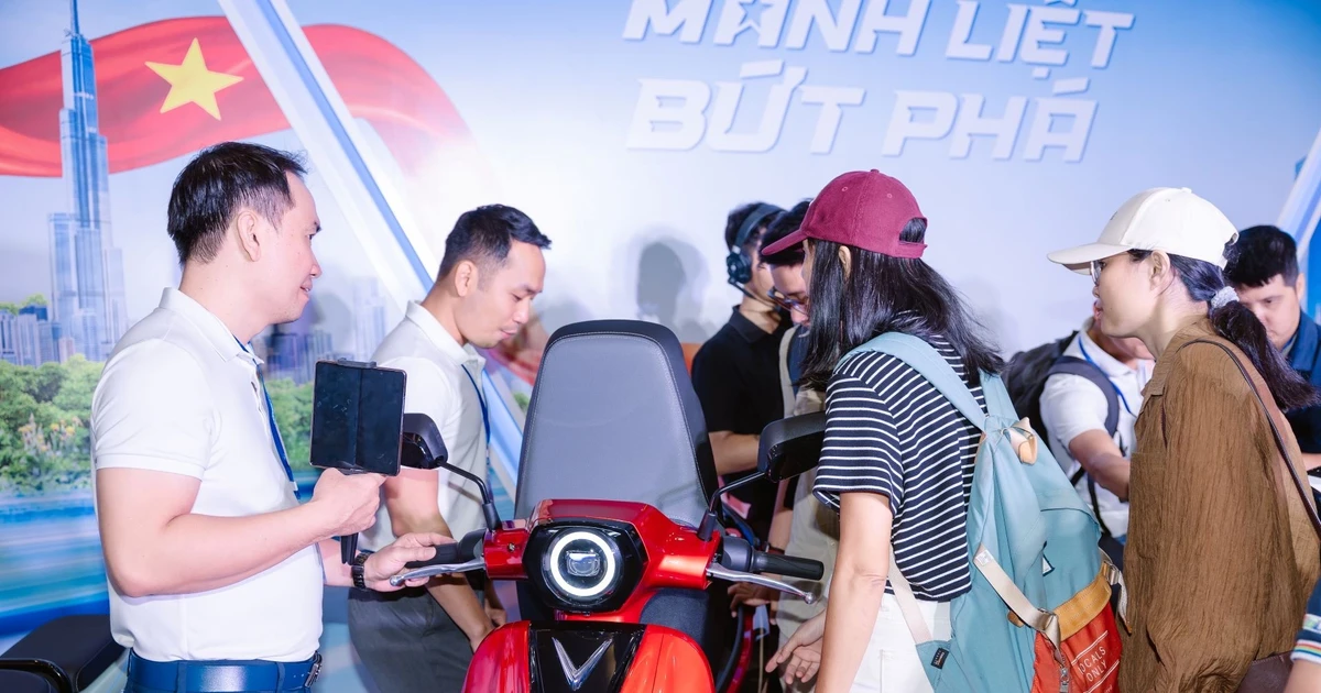 Bài viết