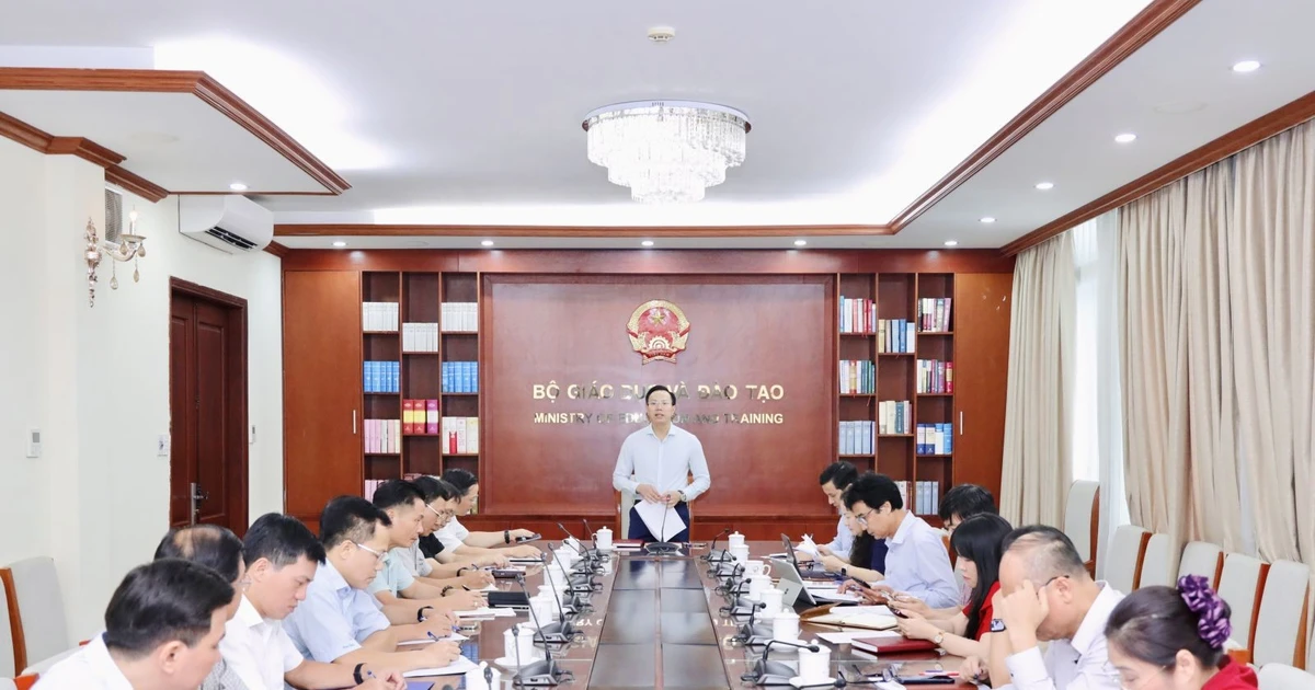 Bài viết