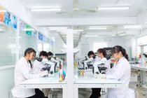 10 nhiệm vụ, giải pháp trọng tâm của ngành Giáo dục trong năm học 2026-2027