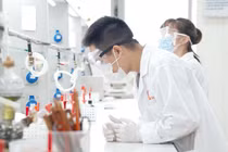 Bộ Chính trị yêu cầu giảm tối thiểu 20% đầu mối CSGDĐH công lập, 30% số cơ sở giáo dục nghề nghiệp