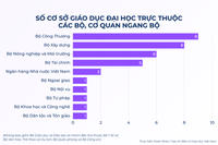 Ngoài Bộ GDĐT và khối ngành đặc thù, các bộ/ngành khác đang quản lý bao nhiêu đầu mối CSGDĐH?