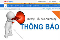 Bộ Giáo dục cần có ý kiến cách chức Hiệu trưởng Trường An Phong để làm gương