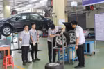 BHXH Tuyên Quang triển khai giải pháp phát triển người tham gia BHXH, BHYT, BHTN