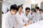 Chuẩn CSGDĐH mới: Tỉ lệ nhập học trung bình 3 năm gần nhất không thấp hơn 50%