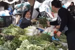 Truy tìm chất ướp xác trên cải thảo Trung Quốc