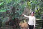 Thực hư ngọn núi chôn sống người đẹp ở Hà Nội 