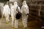 IAEA họp khẩn cấp về khả năng Triều Tiên tái sản xuất plutonium