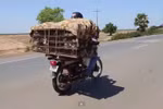 Video: Campuchia bắt chuột xuất khẩu sang Việt Nam