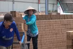 Vì sao hàng trăm doanh nghiệp đồng loạt kiện Chủ tịch tỉnh Bình Dương?