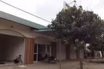 Chủ đầu tư “xẻ thịt” Cánh buồm xanh, chính quyền vẫn bao che!