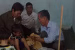 Lạ lẫm ăn tết Grơ của đồng bào Khơ Mú 