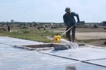 Câu chuyện mặn chát của những người "càng nắng to càng mừng"