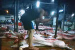 Kinh hoàng thợ mổ đóng dấu thú y