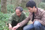 Rùng rợn “lời nguyền ma ngón”
