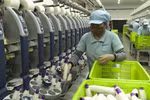 Đồng hành cùng doanh nghiệp vượt qua khó khăn