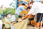 Sửa quy định phạt vi phạm hành chính lĩnh vực bảo vệ thực vật, thú y