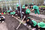 TPHCM: Học sinh tiểu học không đi trải nghiệm ngoài thành phố