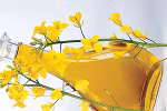 Khám phá những loại thực phẩm dồi dào Omega-3