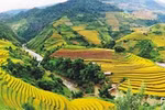 Mùa vàng ở Mù Căng Chải
