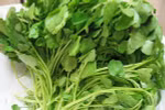 Ăn rau cải xoong giúp tăng hiệu quả vận động 