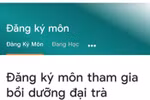 Giáo viên đang rảnh, Bộ nên chỉ đạo các địa phương tập huấn online chương trình