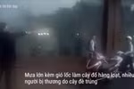 Tình người là thứ quá xa xỉ trước sảnh Grand Plaza