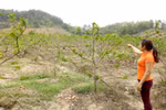 Chủ đầu tư An Phúc Viên nói người dân thiếu hiểu biết và bị tổ chức kích động 