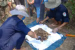 Chuyện kể hành trình 13 năm quy tập hài cốt liệt sỹ