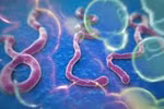 Bệnh nhân nghi nhiễm Ebola ở Đà Nẵng dương tính với sốt rét