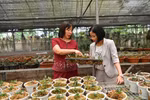 Lực lượng lao động ‘‘ly nông’’, ‘’ly hương’’ khiến ngành nông nghiệp loay hoay