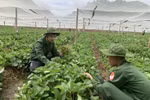 Để thu hút SV vào học ngành Khoa học cây trồng, cần có chính sách như Sư phạm