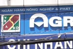 Cho "người giả" vay, Agribank Tân Bình mất cả trăm tỷ đồng tiền thật