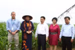 PCT Quốc hội Tòng Thị Phóng đánh giá cao mô hình trang trại bò sữa TH 